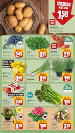 Pflanzen im REWE Prospekt in Neu-Ulm Aktueller REWE Prospekt mit Pflanzen, "Dein Markt", Seite 9