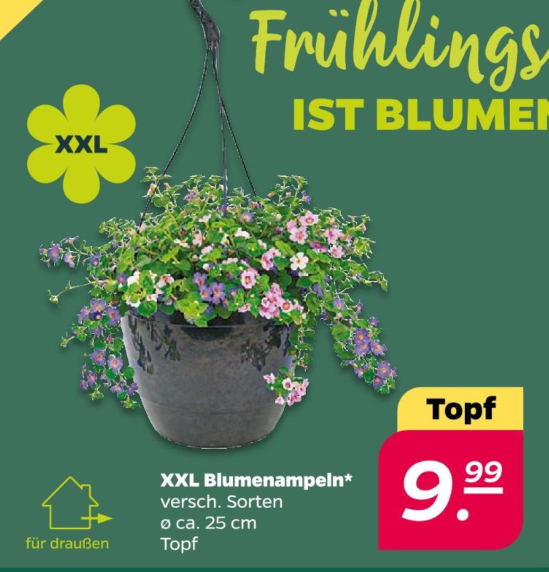 XXL Blumenampeln