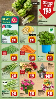 Pfanne im aktuellen REWE Prospekt (Braunschweig) Pfanne im REWE Prospekt "Dein Markt" mit 31 Seiten (Braunschweig)