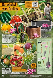 Gurkenpflanze Angebot im aktuellen Hornbach Prospekt auf Seite 4