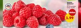Deutsche Himbeeren Angebote bei Penny Viersen für 1,99 €