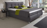 Boxspringbett von Carryhome im aktuellen XXXLutz Möbelhäuser Prospekt