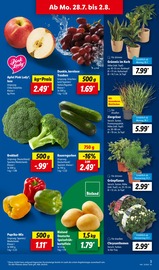 Ähnliche Zitronenbaum Angebote im Prospekt "LIDL LOHNT SICH" von Lidl in Brühl Ähnliche Angebote wie Zitronenbaum im Prospekt "LIDL LOHNT SICH" auf Seite 3 von Lidl in Brühl