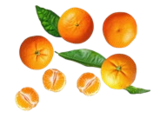 Angebot im Kaufland Großschweidnitz Prospekt Kaufland Großschweidnitz Prospekt mit  im Angebot für 3,99 €