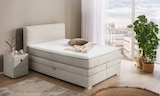 Boxspringbett im buss Prospekt zum Preis von 1.079,00 €