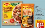 Fix Spaghetti Bolognese oder Food Travel Würzpaste für Curry Indian Style von Maggi im aktuellen REWE Prospekt