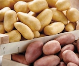 Intermarché Contact Seloncourt - Promo Pommes de terre de consommation à chair ferme Promo Pommes de terre de consommation à chair ferme à 1,69 € dans le catalogue Intermarché Contact à Seloncourt