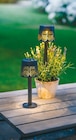2-in-1 Solar-Lampe Angebote bei Netto mit dem Scottie Stendal für 4,99 €