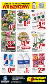 Pflanzenerde im B1 Discount Baumarkt Prospekt in Dortmund Aktueller B1 Discount Baumarkt Prospekt mit Pflanzenerde, "BESTPREISE DER WOCHE!", Seite 8