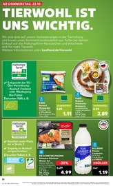 Schweineschnitzel im Kaufland Prospekt in Offenbach Aktueller Kaufland Prospekt mit Schweineschnitzel, "Aktuelle Angebote", Seite 22