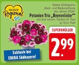 Petunien Trio 'Beerenliebe'  im aktuellen EDEKA Prospekt für 2,99 €