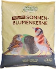 Schwarze Sonnenblumenkerne bei Wreesmann im Großröhrsdorf Prospekt für 2,99 €