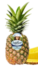 Aktuelle Ananas Angebote bei Kaufland in Leipzig Aktuelles Große Früchte Angebot bei Kaufland in Leipzig ab 2,49 €