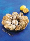 Huîtres spéciales de Normandie IGP - U SAVEURS - Super U à Besançon Huîtres spéciales de Normandie IGP - U SAVEURS en promo chez Super U Besançon à 11,50 €