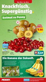 Bananen im Penny Prospekt in Stendal Aktueller Penny Prospekt mit Bananen, "Wer günstig will, muss Penny.", Seite 2