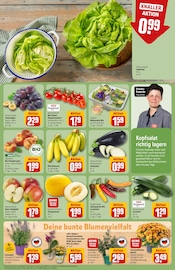 Zucchini Angebote im Prospekt "Dein Markt" von REWE auf Seite 7