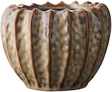 Aktuelle Blumentopf Angebote bei Rusta in Essen Aktuelles Blumentöpfe fĂŒr den Innenbereich Angebot bei Rusta in Essen ab 7,99 âŹ