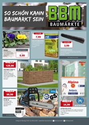 Aktueller BBM Baumarkt Baumarkt Prospekt in Bassum und Umgebung, "So schön kann Baumarkt sein!" mit 16 Seiten, 03.02.2025 - 08.02.2025