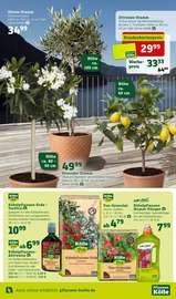 Aktueller Pflanzen Kölle Prospekt mit Pflanzenerde, "Genuss im Frühlingsgarten!", Seite 5
