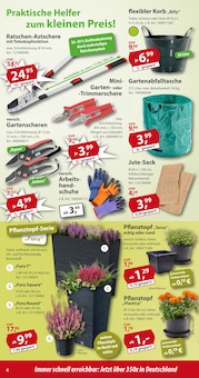 Blumentopf im Sonderpreis Baumarkt Prospekt "… da, wo Werkzeuge stark und günstig sind!" mit 20 Seiten (Göttingen)