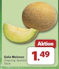Galia Melonen bei combi im Barnstorf Prospekt für 1,49 €