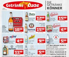 Bier im aktuellen Getränke Oase Prospekt (Soest) Bier im Getränke Oase Prospekt "Aktuelle Angebote" mit 1 Seiten (Soest)