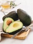 Avocat - U Express Avocat à 0,99 € dans le catalogue U Express