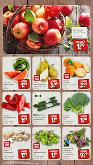 Äpfel im nahkauf Prospekt "nichts liegt näher" mit 8 Seiten (Mainz)