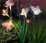 Solarstecker Schmetterling Angebote bei Penny Lehrte für 4,99 €