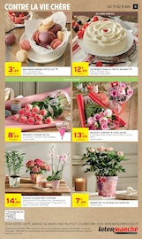 Promos Plante Verte dans le catalogue "25% DE REMISE IMMÉDIATE OU D'AVANTAGE CARTE" de Intermarché Super Plante Verte en promo dans le catalogue Intermarché Super à la page 11