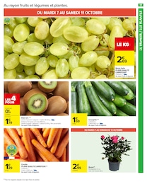 Prix et réduction Courgette dans le prospectus Carrefour Market en cours Offre Courgette dans le catalogue Carrefour Market du moment à la page 19