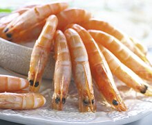 Casino Supermarchés Garancières - Crevettes cuites Promo Crevettes cuites dans le catalogue Casino Supermarchés "Le mois Casino Magic !!" à Garancières