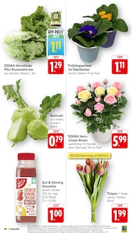 Pflanzen im aktuellen EDEKA Prospekt (Ludwigshafen (Rhein)) Pflanzen im EDEKA Prospekt "Aktuelle Angebote" mit 46 Seiten (Ludwigshafen (Rhein))