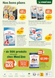 Offre Sheba dans le catalogue Maxi Zoo du moment à la page 12