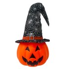 Citrouille à chapeau - CARREFOUR - Carrefour à La Rochelle Citrouille à chapeau - CARREFOUR en promo chez Carrefour La Rochelle à 18,99 €