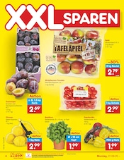 Pflanzen im Netto Marken-Discount Prospekt in Braunschweig Aktueller Netto Marken-Discount Prospekt mit Pflanzen, "Aktuelle Angebote", Seite 4