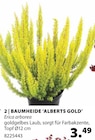 Baumheide 'Alberts Gold' im Angebot bei Dehner Garten-Center in Ibbenbüren Baumheide 'Alberts Gold' Angebote bei Dehner Garten-Center Ibbenbüren für 3,49 €