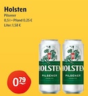 Getränke Hoffmann Witten - Pilsener Angebot im Prospekt Pilsener bei Getränke Hoffmann im Witten Prospekt für 0,79 €