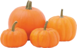 Aldi Bois-Grenier - Promo Courge Halloween Promo Courge Halloween à 2,99 € dans le catalogue Aldi à Bois-Grenier