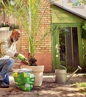 Grünpflanzen- und Palmenerde im Angebot bei Hornbach in Lörrach Grünpflanzen- und Palmenerde Angebote von FloraSelf bei Hornbach Lörrach für 5,99 €