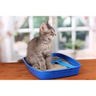 Litière minérale anti-odeurs pour chats - CARREFOUR COMPANINO en promo chez Carrefour Market Litière minérale anti-odeurs pour chats - CARREFOUR COMPANINO dans le catalogue Carrefour Market