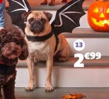 Déguisement chauve-souris en promo chez Gifi Déguisement chauve-souris dans le catalogue Gifi