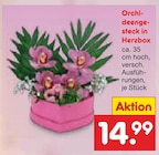 Orchideengesteck in Herzbox bei Netto Marken-Discount im Prospekt "" für 14,99 €