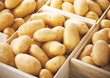 POMME DE TERRE DE CONSOMMATION à 1,99 € dans le catalogue Netto