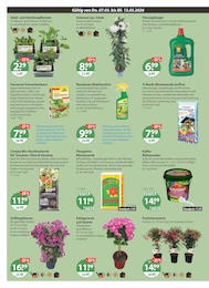 V-Markt Gartenpflege im Prospekt 