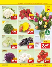 Mango im Netto Marken-Discount Prospekt in Magdeburg Aktueller Netto Marken-Discount Prospekt mit Mango, "Aktuelle Angebote", Seite 41