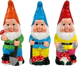 NAIN DE JARDIN à Netto dans Aubenas NAIN DE JARDIN à Netto dans Aubenas