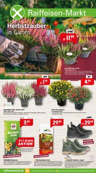 Pflanzen im aktuellen Raiffeisenmarkt Prospekt (Osnabrück) Pflanzen im Raiffeisenmarkt Prospekt "Herbstzauber im Garten." mit 4 Seiten (Osnabrück)