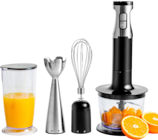 Stabmixer 3-in-1 mit Zubehör Angebote von hanseatic bei OTTO Lehrte für 29,90 €