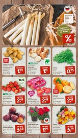 Aktueller nahkauf Prospekt mit Spargel, "nichts liegt näher", Seite 3